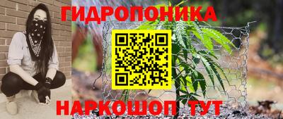 СК Пенза