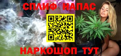 СК Пенза