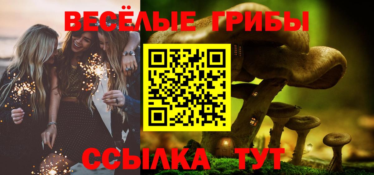 Галлюциногенные грибы Magic Shrooms  Галлюциногенные грибы мицелий  Орёл  Вход с VPN 