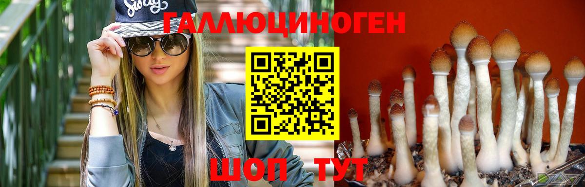 Галлюциногенные грибы мицелий Орёл